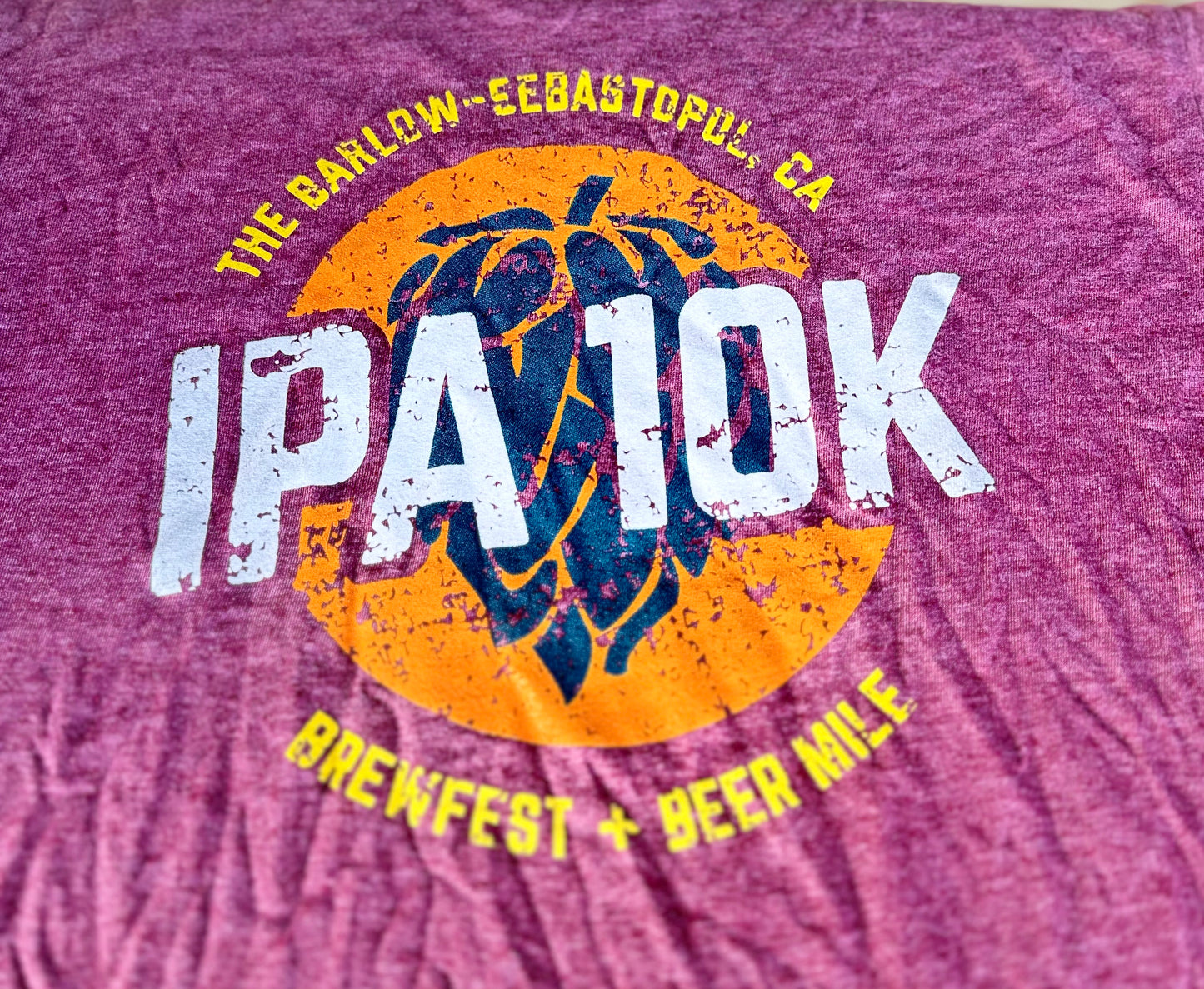 IPA10K - World's Best Beer Run - 241